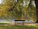 2010-10-18, Herbst (4)